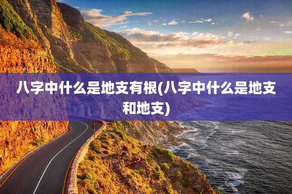 八字中什么是地支有根(八字中什么是地支和地支)