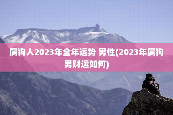 属狗人2023年全年运势 男性(2023年属狗男财运如何)