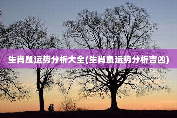 生肖鼠运势分析大全(生肖鼠运势分析吉凶)