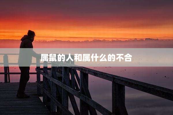 属鼠的人和属什么的不合