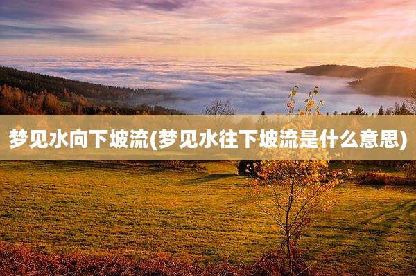 梦见水向下坡流(梦见水往下坡流是什么意思)