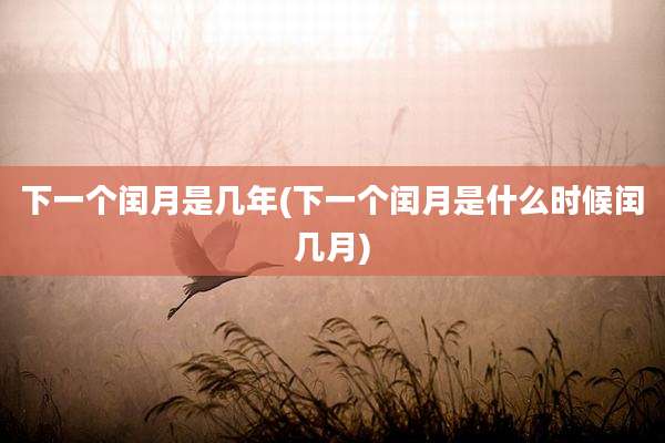 下一个闰月是几年(下一个闰月是什么时候闰几月)