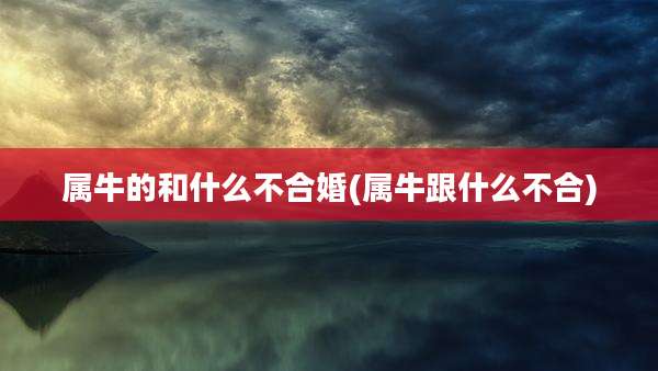 属牛的和什么不合婚(属牛跟什么不合)