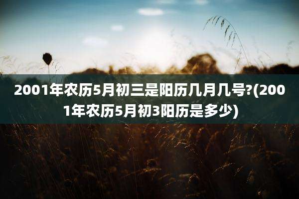 2001年农历5月初三是阳历几月几号?(2001年农历5月初3阳历是多少)