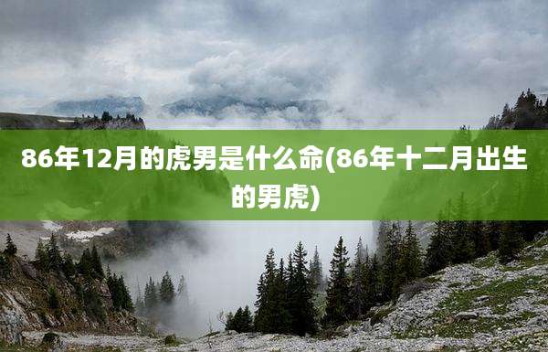 86年12月的虎男是什么命(86年十二月出生的男虎)