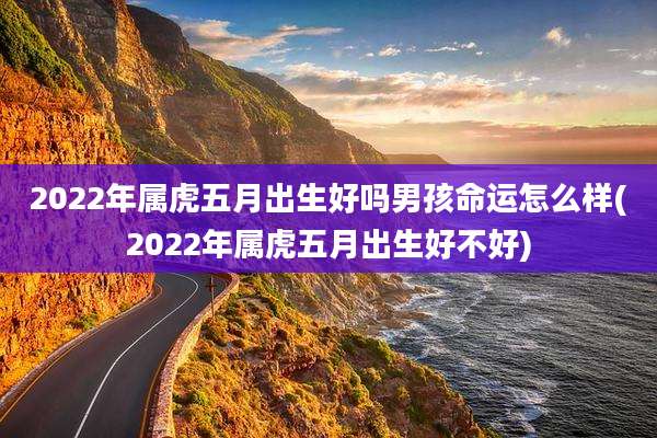 2022年属虎五月出生好吗男孩命运怎么样(2022年属虎五月出生好不好)