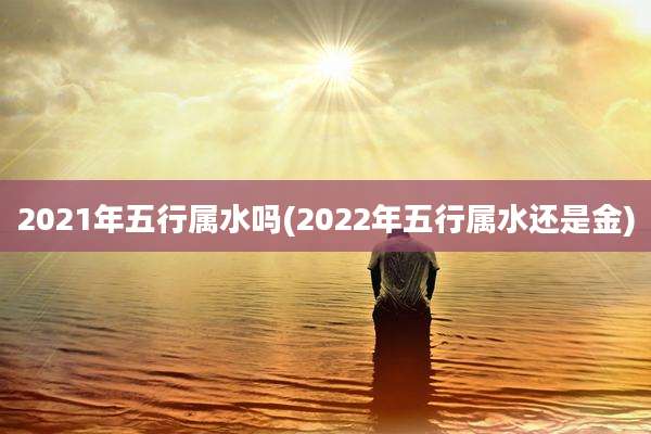 2021年五行属水吗(2022年五行属水还是金)
