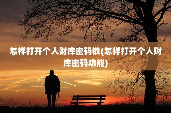 怎样打开个人财库密码锁(怎样打开个人财库密码功能)