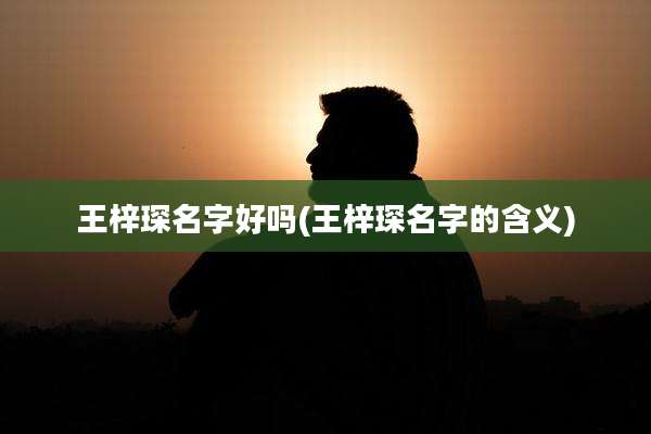王梓琛名字好吗(王梓琛名字的含义)