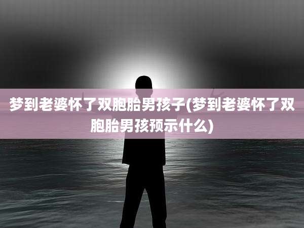 梦到老婆怀了双胞胎男孩子(梦到老婆怀了双胞胎男孩预示什么)