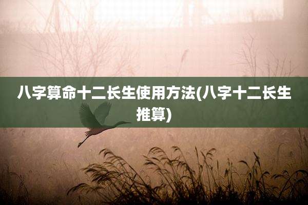 八字算命十二长生使用方法(八字十二长生推算)