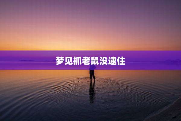 梦见抓老鼠没逮住