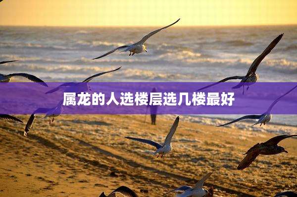 属龙的人选楼层选几楼最好