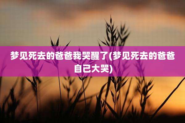 梦见死去的爸爸我哭醒了(梦见死去的爸爸自己大哭)