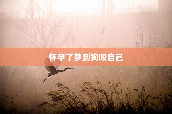 怀孕了梦到狗咬自己