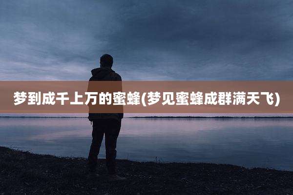 梦到成千上万的蜜蜂(梦见蜜蜂成群满天飞)