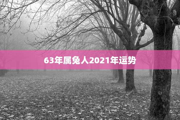 63年属兔人2021年运势
