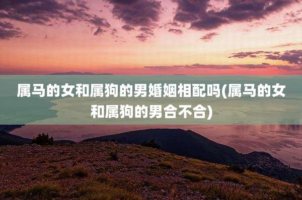 属马的女和属狗的男婚姻相配吗(属马的女和属狗的男合不合)