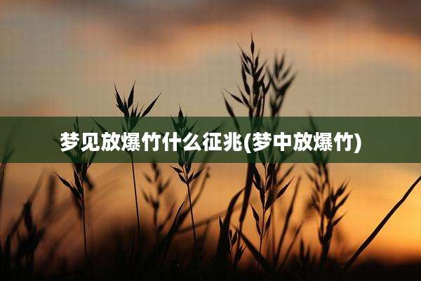 梦见放爆竹什么征兆(梦中放爆竹)