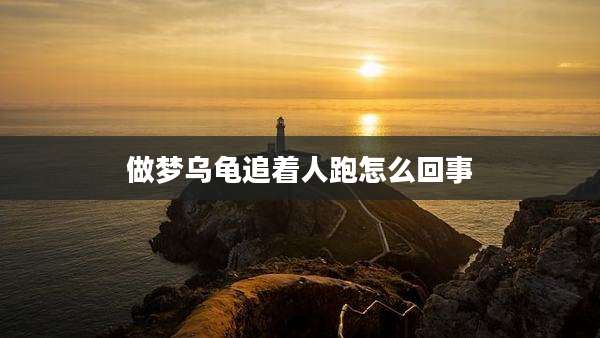 做梦乌龟追着人跑怎么回事