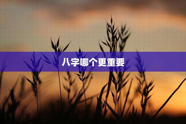 八字哪个更重要