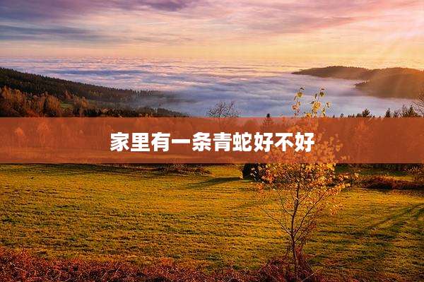 家里有一条青蛇好不好