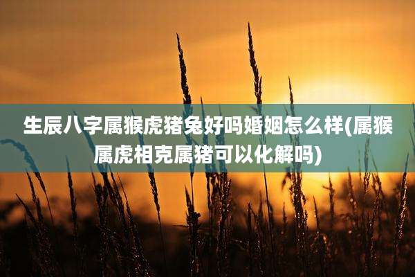 生辰八字属猴虎猪兔好吗婚姻怎么样(属猴属虎相克属猪可以化解吗)