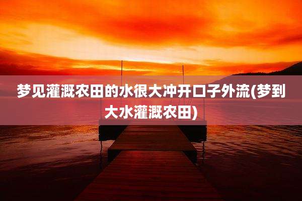 梦见灌溉农田的水很大冲开口子外流(梦到大水灌溉农田)