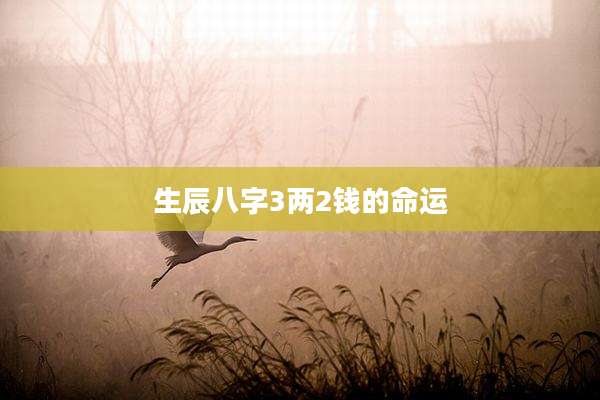生辰八字3两2钱的命运