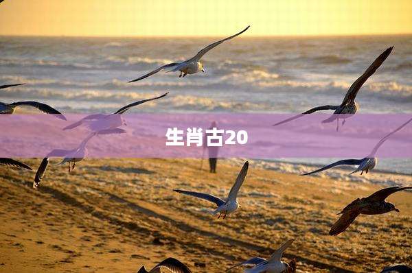 生肖古20