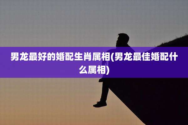男龙最好的婚配生肖属相(男龙最佳婚配什么属相)