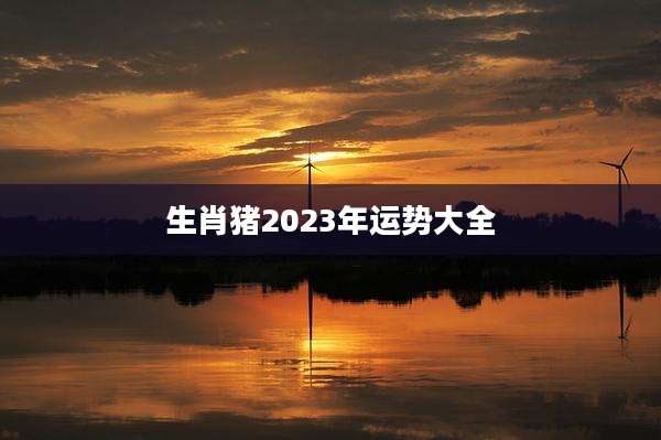 生肖猪2023年运势大全