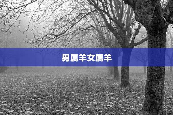 男属羊女属羊