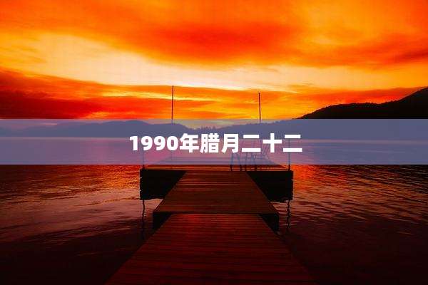 1990年腊月二十二