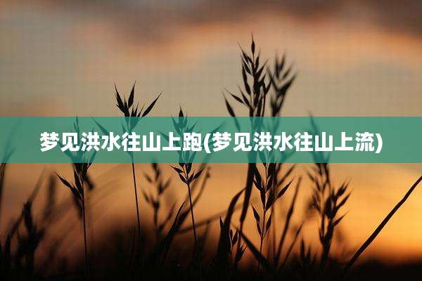 梦见洪水往山上跑(梦见洪水往山上流)