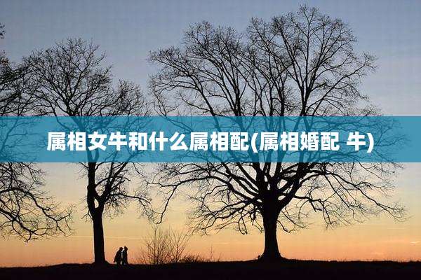 属相女牛和什么属相配(属相婚配 牛)