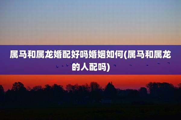 属马和属龙婚配好吗婚姻如何(属马和属龙的人配吗)