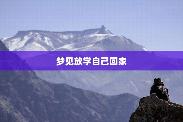 梦见放学自己回家