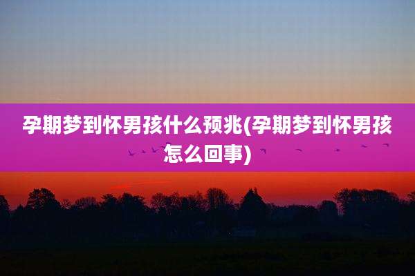 孕期梦到怀男孩什么预兆(孕期梦到怀男孩怎么回事)