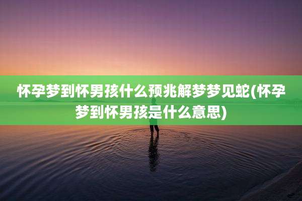 怀孕梦到怀男孩什么预兆解梦梦见蛇(怀孕梦到怀男孩是什么意思)