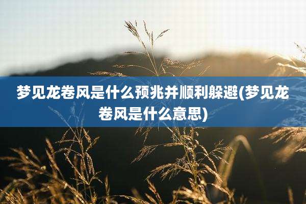 梦见龙卷风是什么预兆并顺利躲避(梦见龙卷风是什么意思)