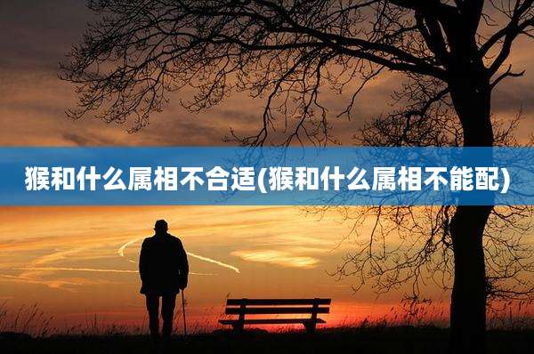 猴和什么属相不合适(猴和什么属相不能配)