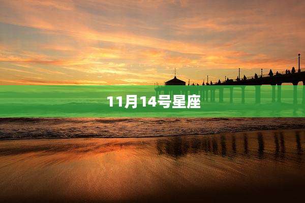 11月14号星座