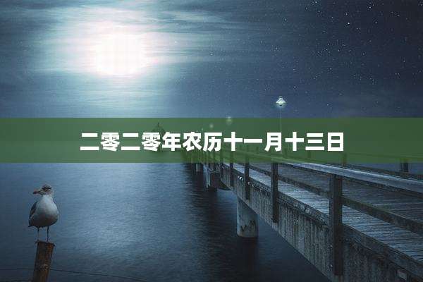二零二零年农历十一月十三日