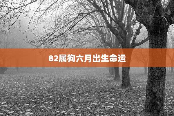 82属狗六月出生命运