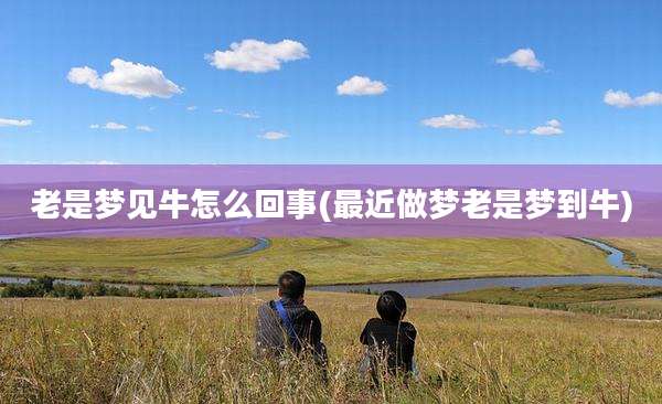 老是梦见牛怎么回事(最近做梦老是梦到牛)