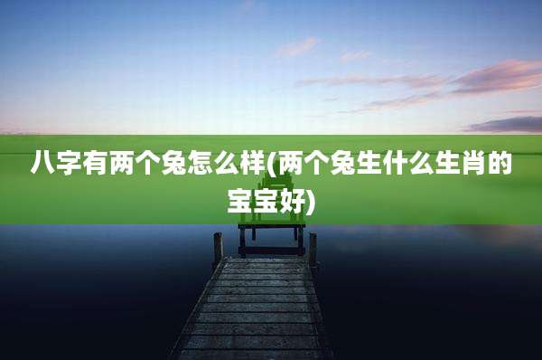 八字有两个兔怎么样(两个兔生什么生肖的宝宝好)