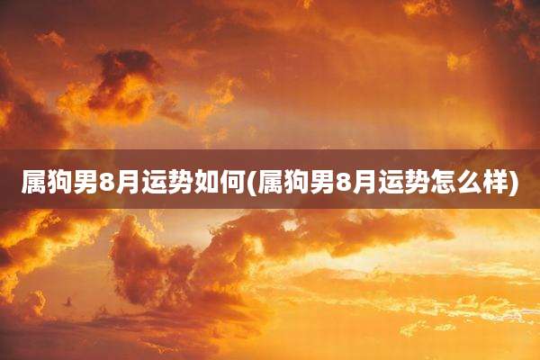 属狗男8月运势如何(属狗男8月运势怎么样)
