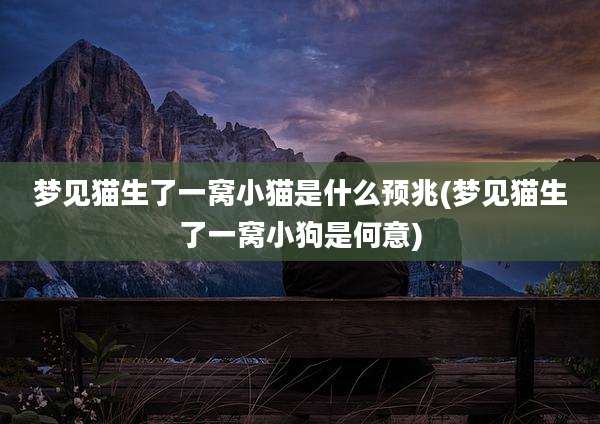 梦见猫生了一窝小猫是什么预兆(梦见猫生了一窝小狗是何意)