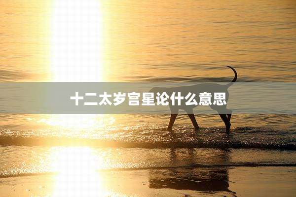 十二太岁宫星论什么意思
